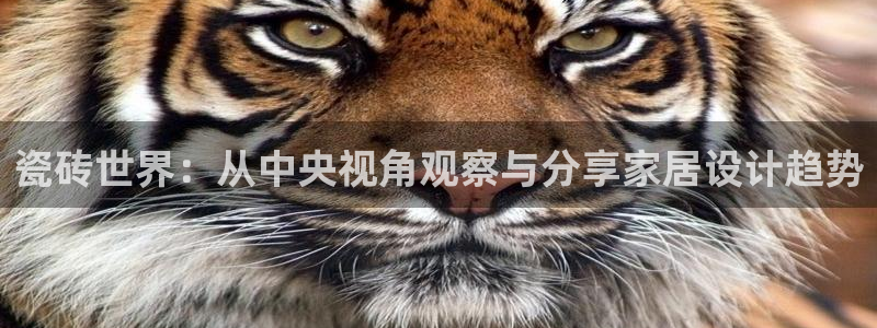 富联娱乐平台下载：瓷砖世界：从中央视角观察与分享家居设计趋势