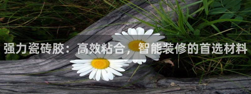 富联娱乐发展历程