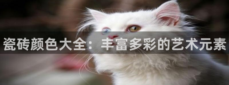 富联娱乐主管是谁呀图片