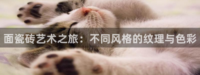 富联娱乐总裁简介图片大全