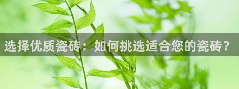 富联娱乐主管77903