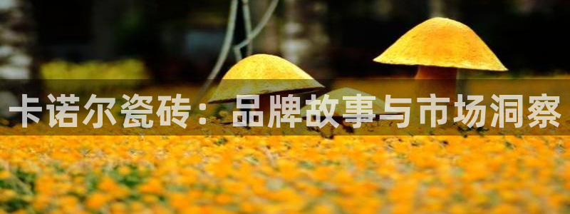 富联娱乐资讯