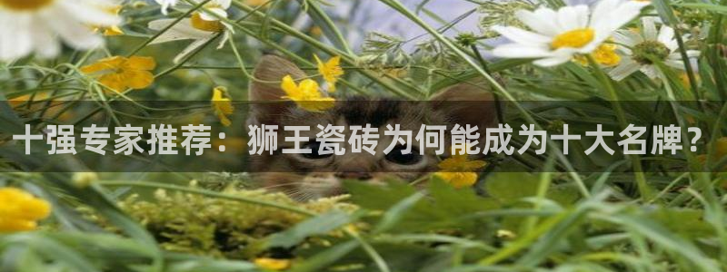 富联娱乐公司简介资料