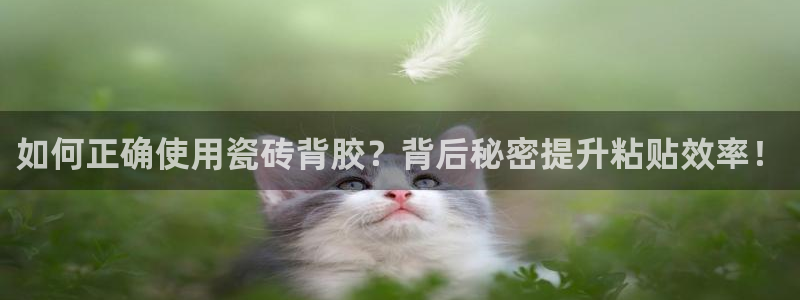 富联娱乐官网入口网址