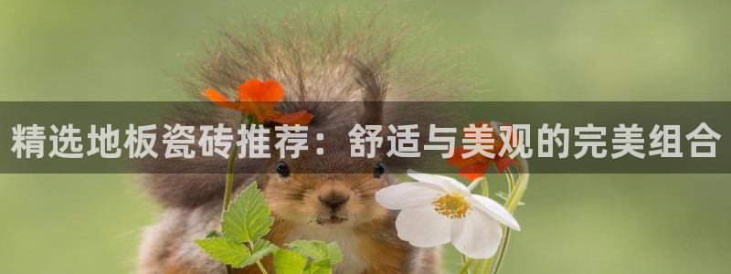 富联娱乐招商杂判官333OO