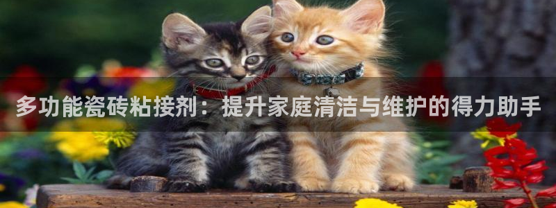 富联娱乐登录链接在哪看