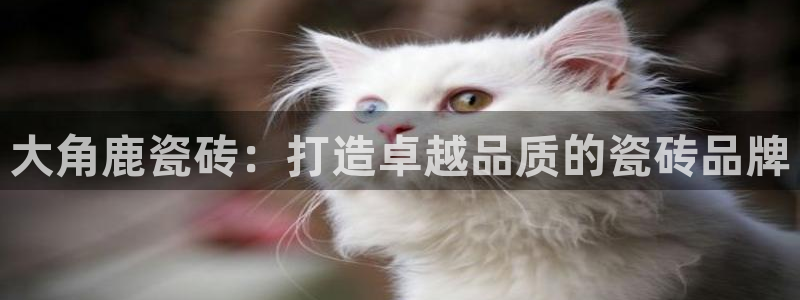 富联2娱乐查判官333OO