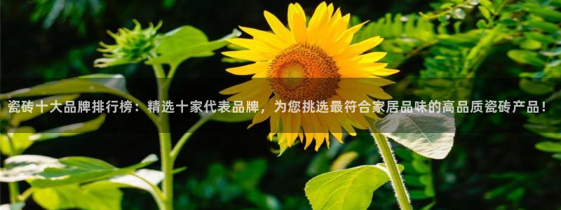 富联娱乐平台靠谱吗