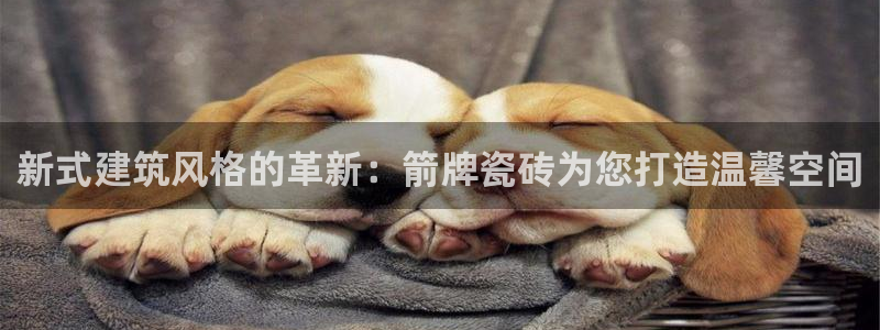 富联娱乐指究7276O