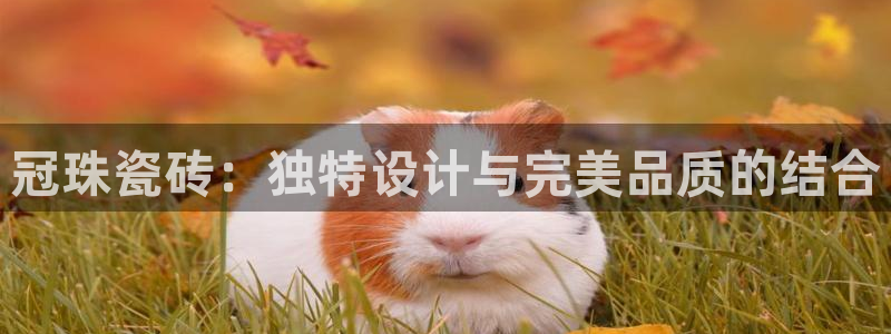 富联娱乐客户端网址