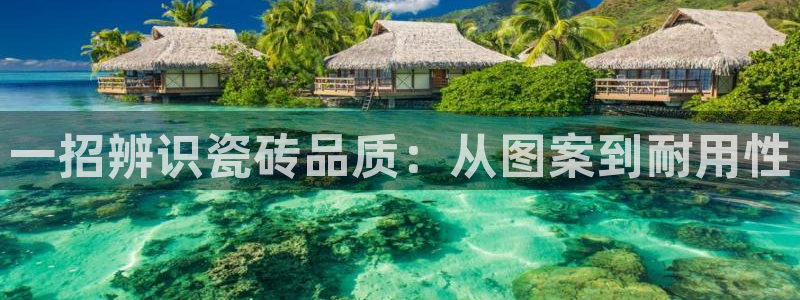 富联娱乐官方网站首页登录