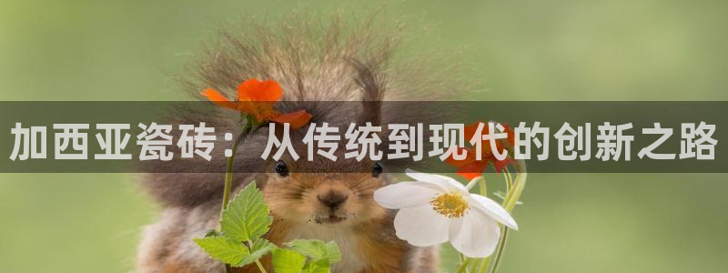 富联娱乐若七九九47