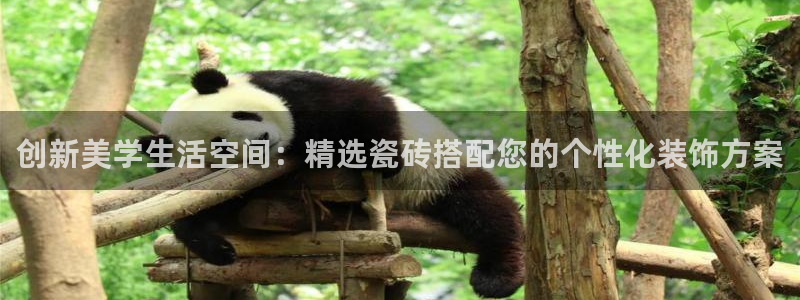 富联娱乐注册登录不上