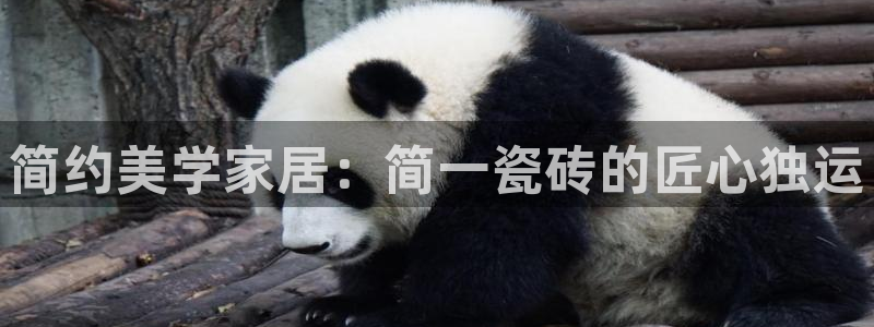 富联娱乐招商左原判官333OO