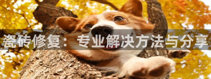 富联娱乐怎么样