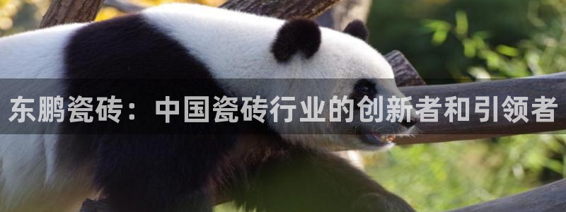 富联娱乐总裁简介