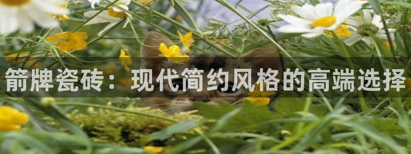 富联娱乐平台登录网址