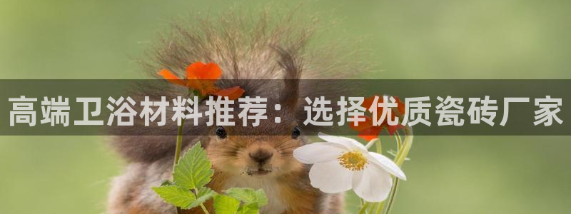 富联娱乐平台登录不了了