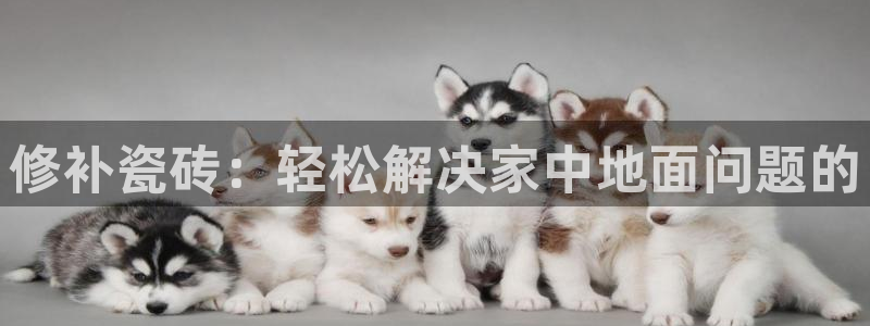 富联娱乐招商方判官333OO