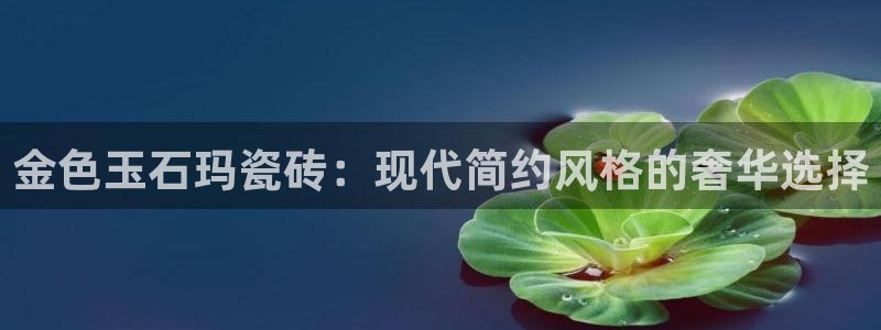 联富娱乐有限公司