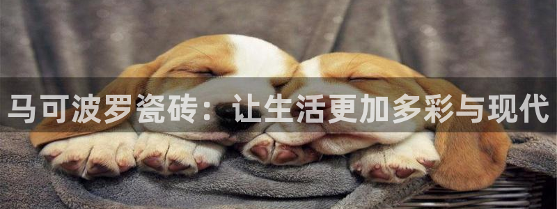 富联娱乐登录入口