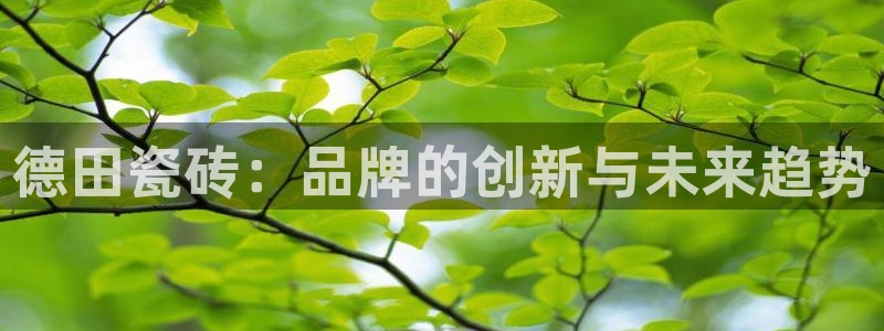 富联娱乐主管是谁