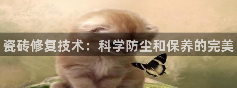 富联娱乐发展历程简介