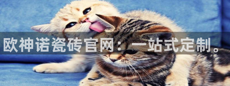 富联娱乐首页网站登录