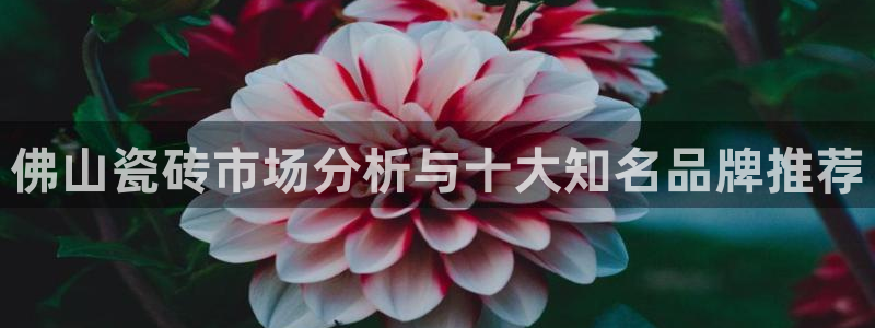 富联娱乐官方app下载