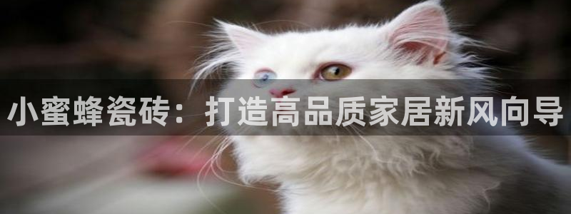 富联娱乐开户流程视频