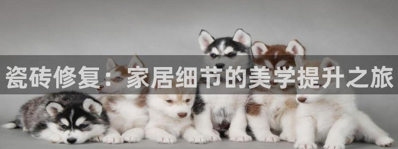 富联娱乐客户端网址