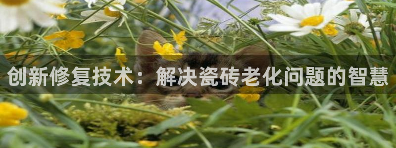 富联娱乐招商主管