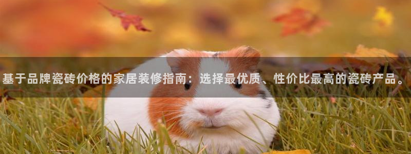 富联娱乐官方网站入口网址