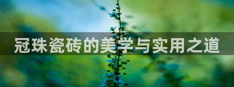 富联娱乐代理是谁的产品