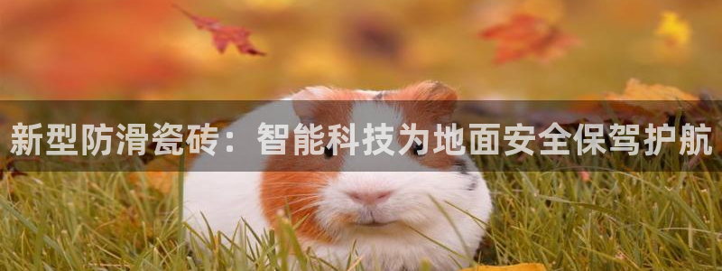 富联娱乐主管减判官333OO