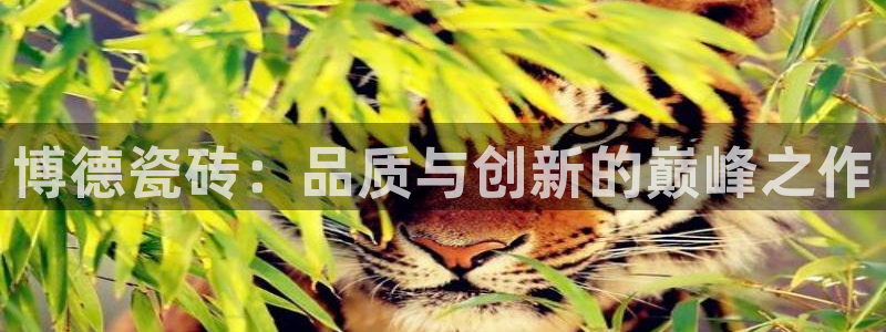 富联娱乐客户端下载