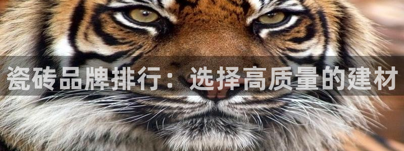 富联娱乐官网入口app