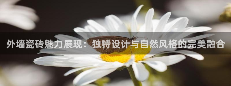 联富市场2楼娱乐场