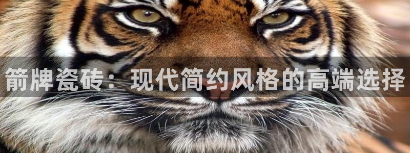 富联娱乐首页官网