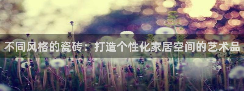 富联娱乐总裁简介资料