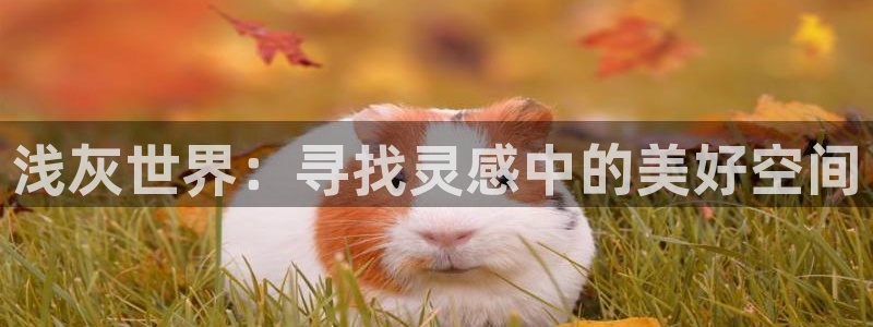 富联2娱乐首页网址大全