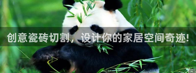 富联娱乐注册维判官333OO