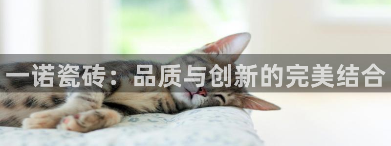 富联娱乐招商主管