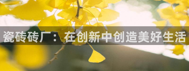 富联娱乐元哥