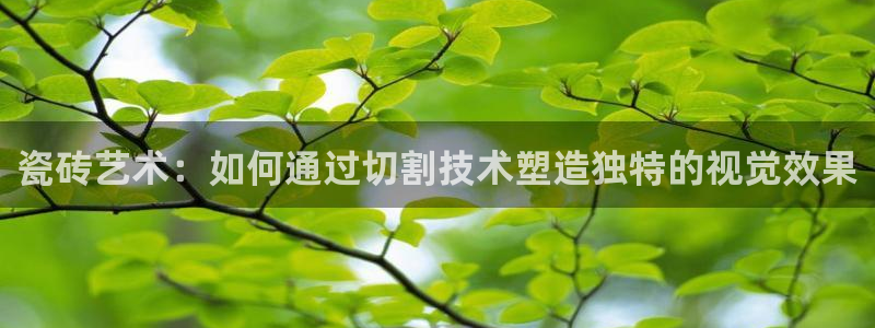 富联娱乐分红怎么样