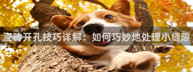 富联娱乐下载官网网址