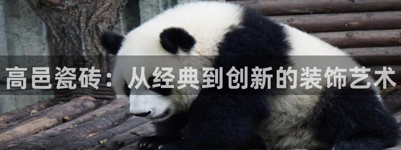 富联娱乐招商主管部门
